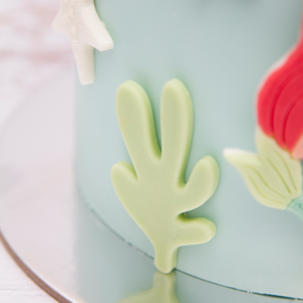 Detailed sea life coral in silicone mold